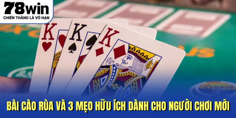 Bài Cào Rùa Và 3 Mẹo Hữu Ích Dành Cho Người Chơi Mới